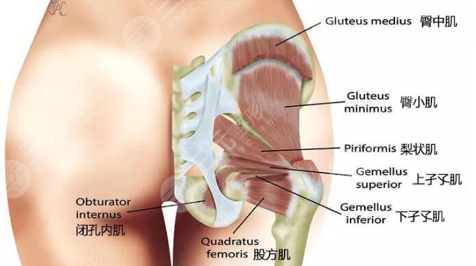 運(yùn)動(dòng)中需要注意事項(xiàng)