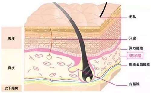 重慶當代整形醫(yī)院面部年輕化案例