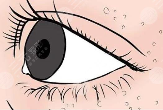 金霉素軟膏去脂肪粒步驟