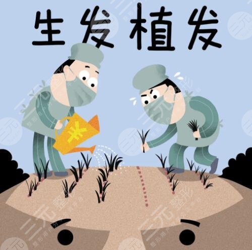 植發(fā)手術(shù)10元20元區(qū)別大嗎？區(qū)別主要在哪里？質(zhì)量？服務(wù)？毛囊數(shù)？