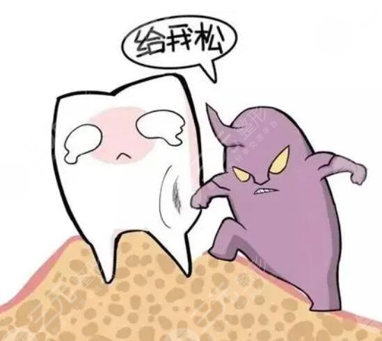 如何緩解牙齒松動問題？牙齒松動的原因及根治方法很重要！告訴你2個方法！