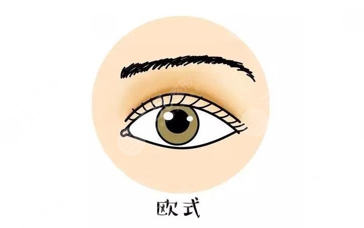 三點(diǎn)和歐式雙眼皮哪個(gè)好?看?