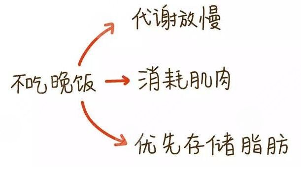 晚餐要適量，健康更重要