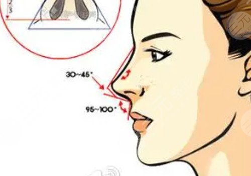 鼻梁山根低怎么辦？