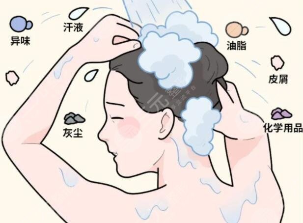 多久洗一次頭健康?科學(xué)洗頭間隔時間一般是2-3天左右