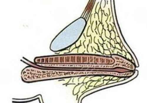 玻尿酸男性增大注射要多少錢？