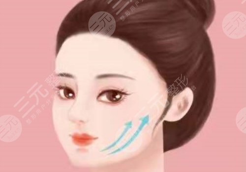 外輪廓包括哪些部位？