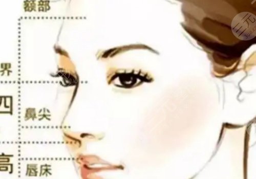 微調(diào)整形大概多少錢