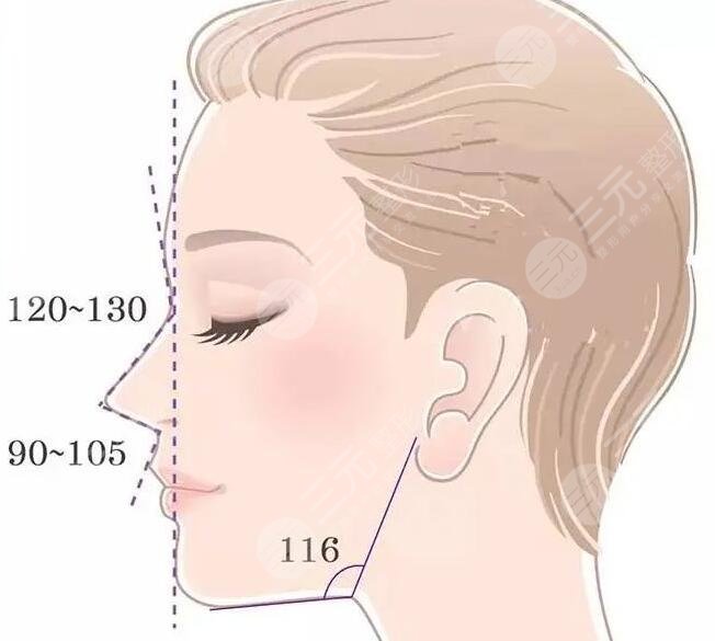 媽生鼻是用什么材料做的？