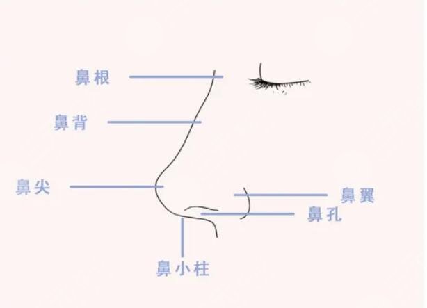 媽生鼻手術(shù)后需要注意什么？