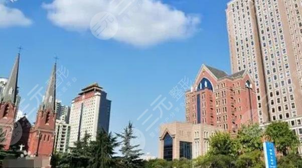 上海百達(dá)麗