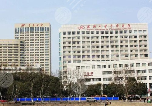 武漢市整形醫(yī)院十大排名