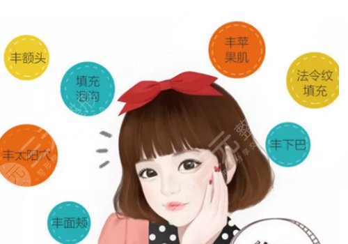 臉部脂肪填充多少錢