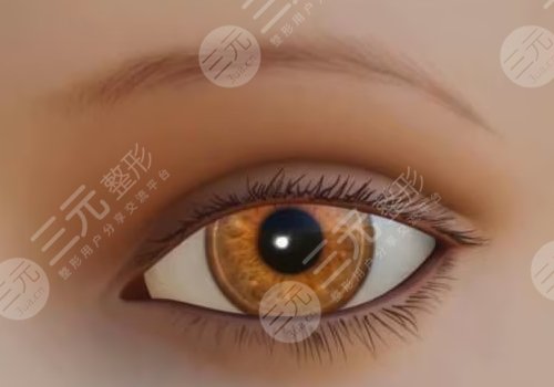 楊鍇醫(yī)生個(gè)人簡(jiǎn)介，雙眼皮怎么樣