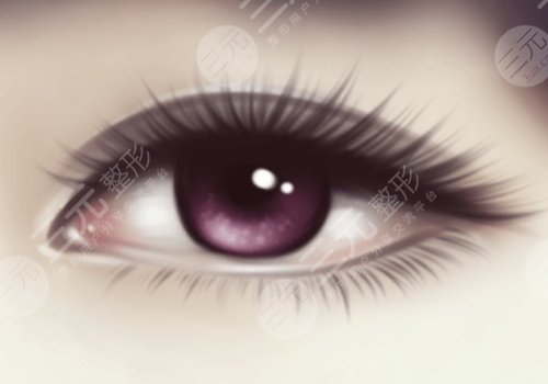 方柏榮和譚騖遠雙眼皮哪個好