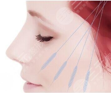 菲林普利和寶尼達(dá)哪個(gè)更安全