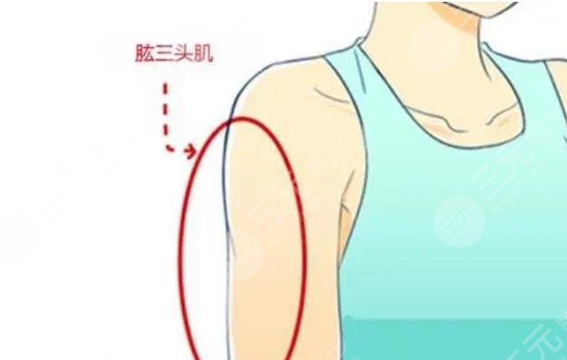 手臂