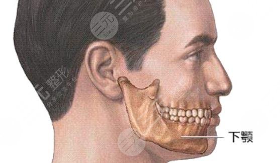 下頜角