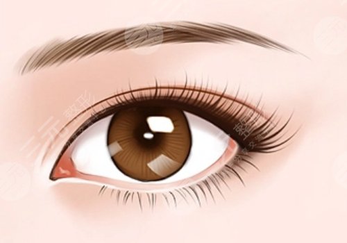 徐曉斐和胡曉龍誰(shuí)做雙眼皮更好