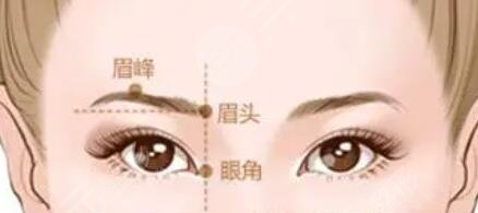 眉弓