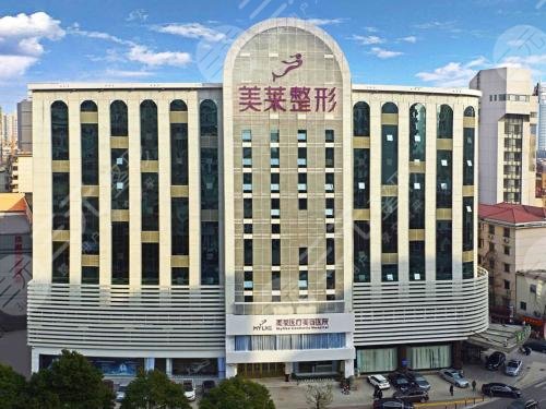 上海美萊豐胸多少錢