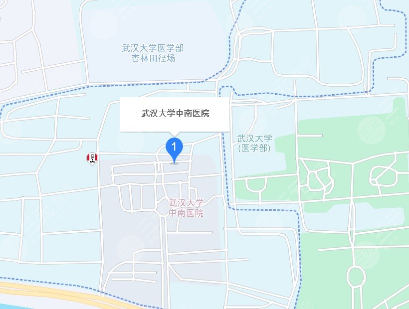 武漢大學(xué)中南醫(yī)院地址